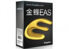 金蝶ESA產品